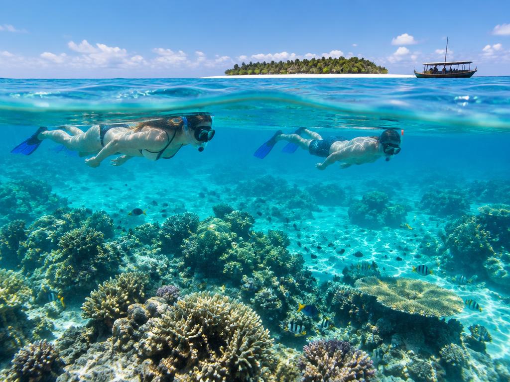 Mnemba Atoll Snorkeling & Dolphins — photo 2